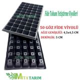 Fide Viyol, 4 Adet, 50 Gözlü, Fidelik, Fide Viyolleri (393964628)