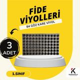 Fide Viyolü , Viyol , Fide Viyolleri 3 Adet (32-45-70-84-104-128) Göz ,ürün Seçiniz - 3 Adet 84 Göz