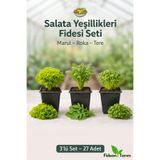 Fideon Marul Fidesi Seti | Kıvırcık – Yedikule – Iceberg | 3’lü Set – 27 Adet