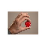 Fidget Casino Çipi - Rahatlatıcı Stres Oyuncağı