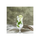 Fiesta Cam Kokteyl Bardağı 6'lı 460 ml (Meşrubat/Smoothie /Milkshake/Soğuk Kahve Bardağı )