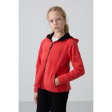 Fiesta Kalın Yumuşak Dokulu Standart Fit Nakışlı Polar Kız Çocuk Sweatshirt - 75152 - 8 - 9 Yaş