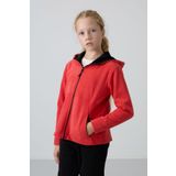Fiesta Kalın Yumuşak Dokulu Standart Fit Nakışlı Polar Kız Çocuk Sweatshirt - 75152