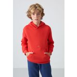 Fiesta Pamuklu Kalın İçi Tüylü Yumuşak Dokulu Standart Fit Baskılı Erkek Çocuk Sweatshirt - 11215