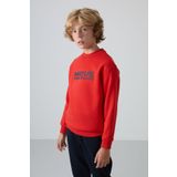 Fiesta Pamuklu Kalın İçi Tüylü Yumuşak Dokulu Standart Fit Baskılı Erkek Çocuk Sweatshirt - 11216