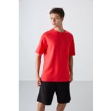 Fiesta Pamuklu Kalın Yumuşak Dokulu Oversize Fit Baskılı Erkek T-Shirt - 88324
