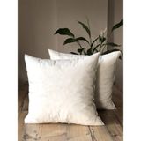 Fifty Home 2 Adet Kırlent Iç Yastık - 8 Farklı Ebat - Dolgusu 100% Kırpık Sünger - 60 x 60 cm - Beyaz
