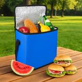 FİGİZA® 25 Litre Termal Soğutucu Piknik Çantası – Kamp, Plaj, Oto Buzluk ve Seyahat için Serin Tutucu Termos Çanta, Hafif & Taşınabilir (Mavi)