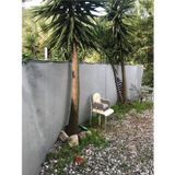 File Ambalaj %95'Lik Gri - Gümüş Gölgelik File - 6X4 Metre - Branda - Çit Filesi - Şeritli Halkalı
