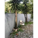 File Ambalaj Yüzde 95'Lik Gri - Gümüş Gölgelik File - 1X8 Metre - Branda - Çit Filesi - Şeritli Halkalı