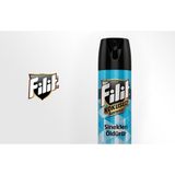 Filit Aeresol Sinek Sivrisinek Kovucu Kokusuz 300 ml