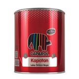 Filli Boya 0.25 lt Beyaz Kapatan Leke Ve İs Örtücü Astar
