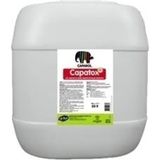 Filli Boya 1 lt Capatox