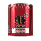 Filli Boya Kapatan 0.75 lt Leke Örtücü Boya