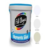 Filli Boya Momento Silan Tam Silinebilir Yıkanabilir Silikonlu Ipek Mat Boya 2,5lt (rezene 160)