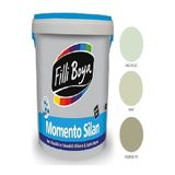 Filli Boya Momento Silan Tam Silinebilir Yıkanabilir Silikonlu Ipek Mat Boya 2,5lt (rezene 170)