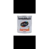 Filli Boya Sentomaxx® Sentetik Astar 2,5L