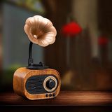 Filli Kutum Nostaljik Mini Radyo Gramofon Radyo Retro Style Bluetooth Hoparlör B5 Ahşap Görünümlü Tasarım