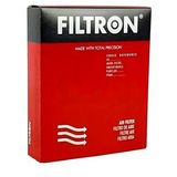 Filtron AP 051/4 Hava Filtresi