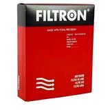 Filtron AP 122/6 Hava Filtresi