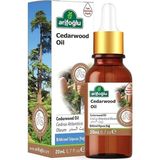 Fimer Sedir Yağı 20 ml