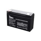 Fimer T.tec 6V 12AH Bakımsız Kuru Akü