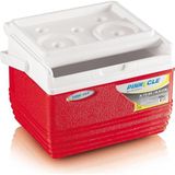 Fimer Thermoware Soğutucu Çanta 4,5 Litre Mini Kamp Spor Kırmızı 21 x 20 x 16 cm