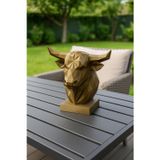 Findify Store Dekoratif Büst Boğa Heykel Özel Tasarım Hediye 12 X 16 Cm