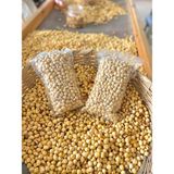 Fındıksan Fındık Giresun Yağlısı Yeni Mahsul Kavrulmuş Vakumlanmış Iç Fındık -500 gr - 0,5 gr