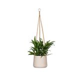 Finestgreen Asılı bitki saksısı, gri | bitki dikmek için asılı çiçek saksısı | Urban Gardening bitki askısı