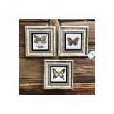 FİNS STONE DECOR Çerçeveli Taş Duvar Dekoru Tablo-3 Lü Set Kelebek 20x20cm Hediyelik F3CDD-40-003