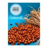 Fiolimore 10 mm Turuncu Ahşap Boncuk (50 Gr 135 Adet)Geniş Delik Çapı 4 mm Makrome Çanta Bileklik Takı Renkli