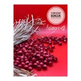 Fiolimore 12 mm Kırmızı Ahşap Boncuk (50 Gr 87 Adet)Delik Çapı 5 mm Makrome Çanta Bileklik Takı Tahta