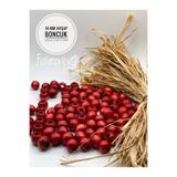 Fiolimore 14 mm Kırmızı Ahşap Boncuk (50 Gr 47 Adet)Geniş Delik Çapı 6 mm Makrome Çanta Bileklik Takı Renkli