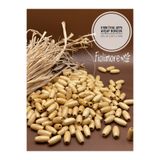 Fiolimore 8 mm Ithal Arpa Model Vernikli Ahşap Boncuk Delik Çapı 2mm(25 Gr 110 Adet)Çanta Takı Bileklik