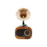 Fioplus B5 Nostaljik Mini Gramafon Radyo - Kahverengi