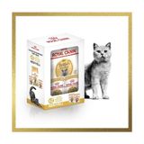Fırsat Mağazam Canin Adult Yetişkin British Shorthair Kedi Maması 2 kg + Canin Yetişkin British Shorhair Yaş Maması 2 Adet (Original) - 0,01 gr