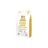 Fırsatkolik Mini Hair Skin Somonlu ve Ringa Balıklı Küçük Irk Tahılsız Yetişkin Köpek Maması 2 kg