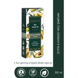 Fırsatkolik Şampuan & Zeytinyağı ve Avokado Yağı Şampuan 350ML