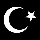 Fırsatkolik Türk Bayrağı Oto Sticker Beyaz 32X24 cm - 00 Siyah - Beyaz