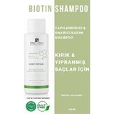 First Lima Kuru Saçlar Için Tuzsuz Süt Proteini & Hindistan Cevizi Nemlendirici Şampuan 400ML