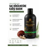 First Lima Professional Horsetail Saç Dökülmesine Karşı Hızlı Saç Uzatan Dolgunlaştırıcı Onarıcı Besleyici Şampuan 500 Ml