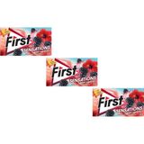 First Sensations Berry Hibiscus Böğürtlen ve Hibiskus Aromalı Şekersiz Tatlandırıcılı Sakız - 3'lü Paket - 27 gr