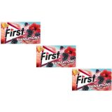 First Sensations Berry Hibiscus Böğürtlen ve Hibiskus Aromalı Şekersiz Tatlandırıcılı Sakız - 3'lü Paket
