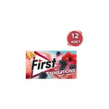 First Sensations Berry Hibisküs Aromalı Sakız 27gr-12 Adet