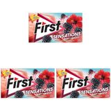 First Sensations Berry Hibisküs Aromalı Şekersiz Sakız 27 g (3 paketi)