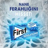 First Sensations Nane Aromalı Sakız 27 gr - 12 Adet - 324 gr