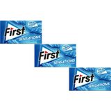 First Sensations Nane Aromalı Şekersiz Tatlandırıcılı Sakız 3'lü Paket - 27 gr