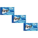 First Sensations Nane Aromalı Şekersiz Tatlandırıcılı Sakız 3'lü Paket