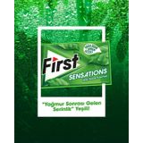 First Sensations Sakız Çeşitleri 27Gr - 12 Adet